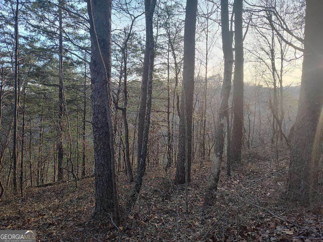 1058 Mayfield Lane - Photo 1