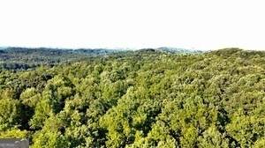 0 Dawsonville Highway - Photo 1