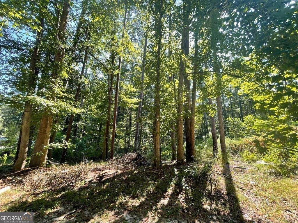 6031 Falcon Court - Photo 1