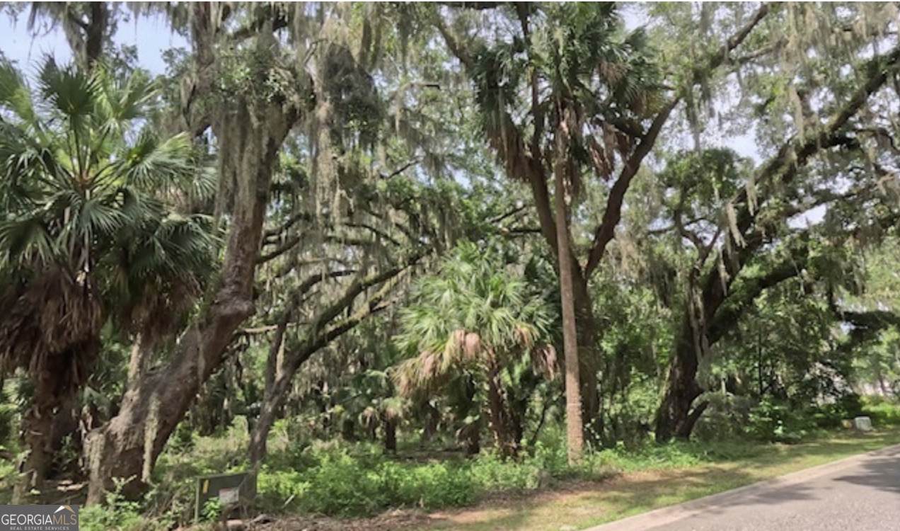 919 Wagner Lane - Photo 1