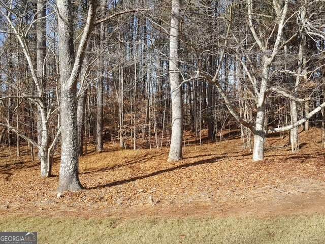 104 Hawks Court - Photo 1