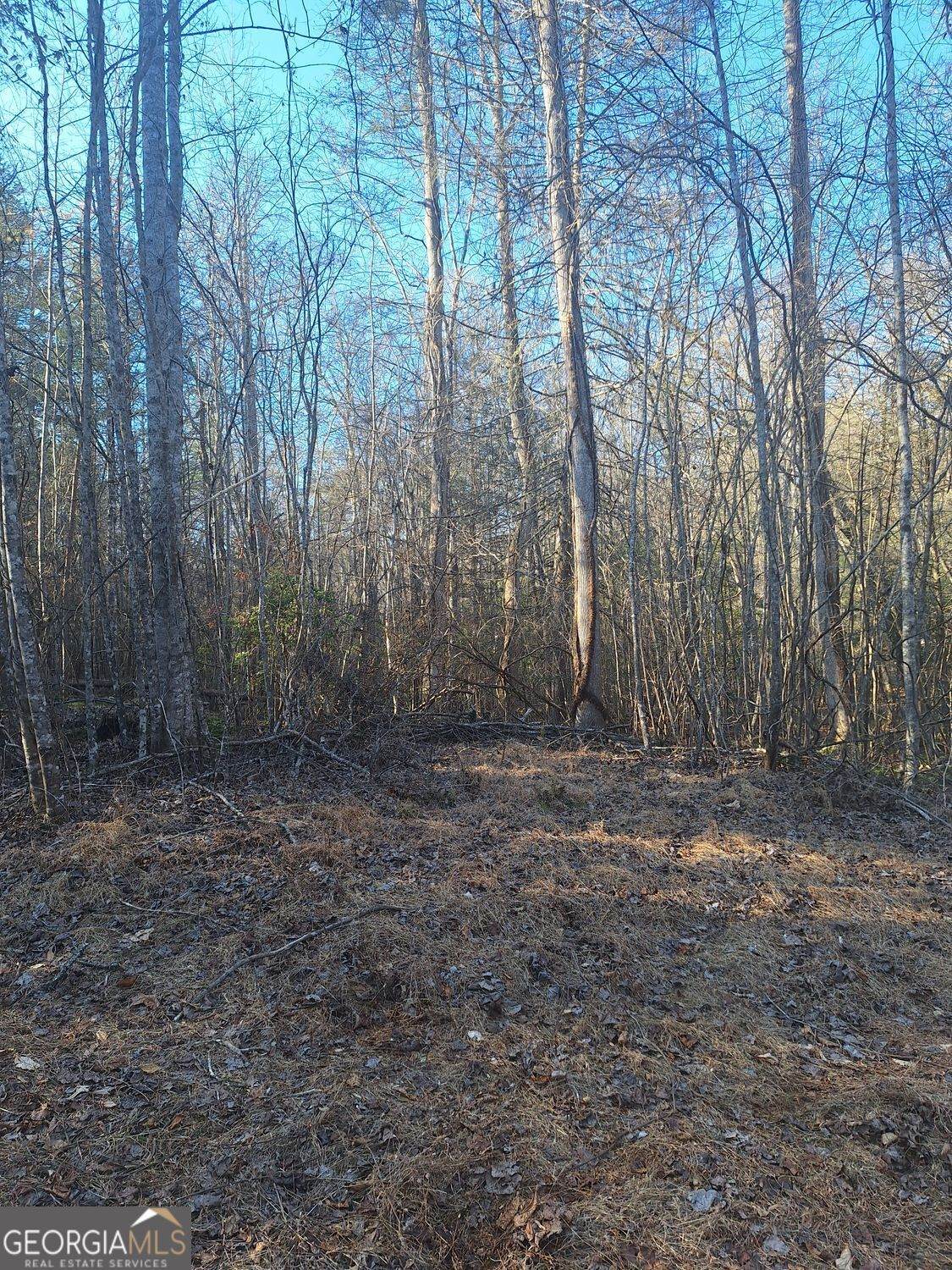 0 Bent Wood Lane - Photo 1
