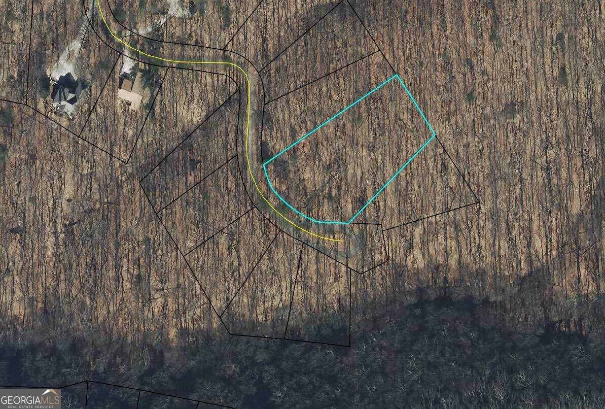 4528 Sassafras Mountain Trail - Photo 1