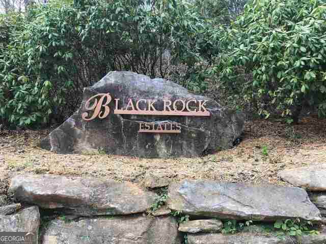 0 Winding View - Photo 1