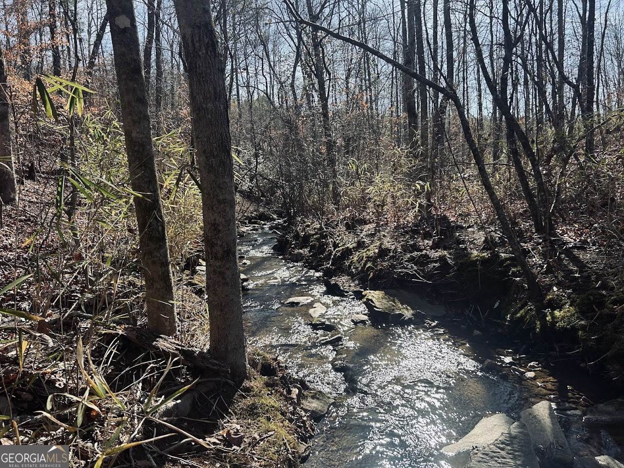 0 Old Highway 431 - Photo 1