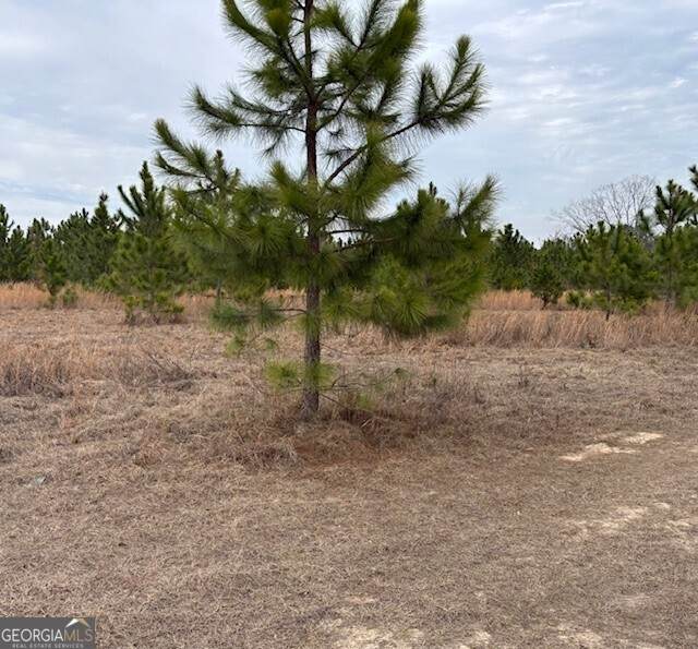 0 Oakridge Church Road - Photo 1