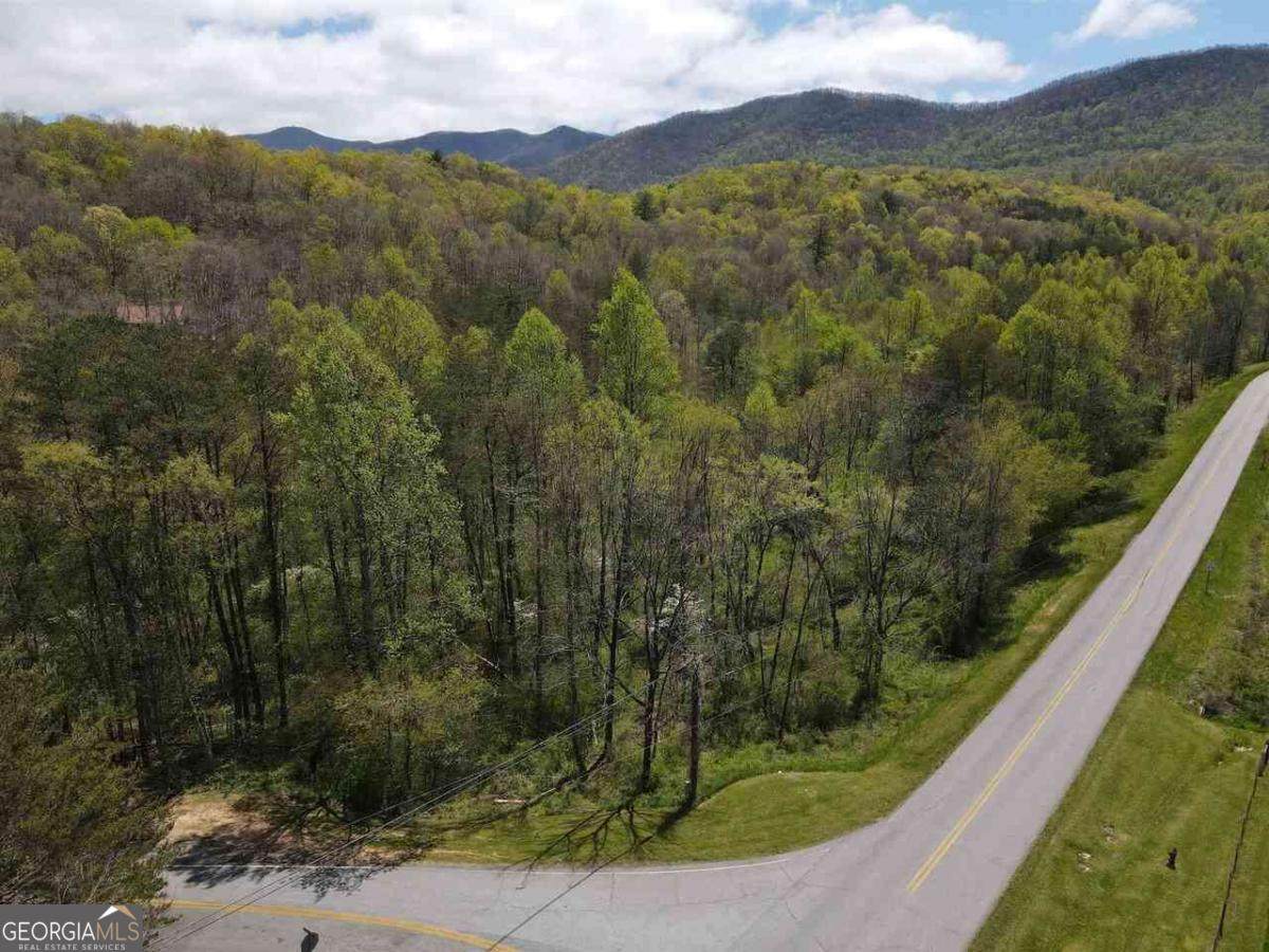 513 Trackrock Gap Road - Photo 1