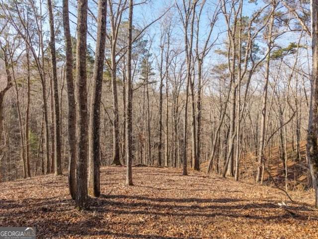 1884 Finale Street - Photo 1