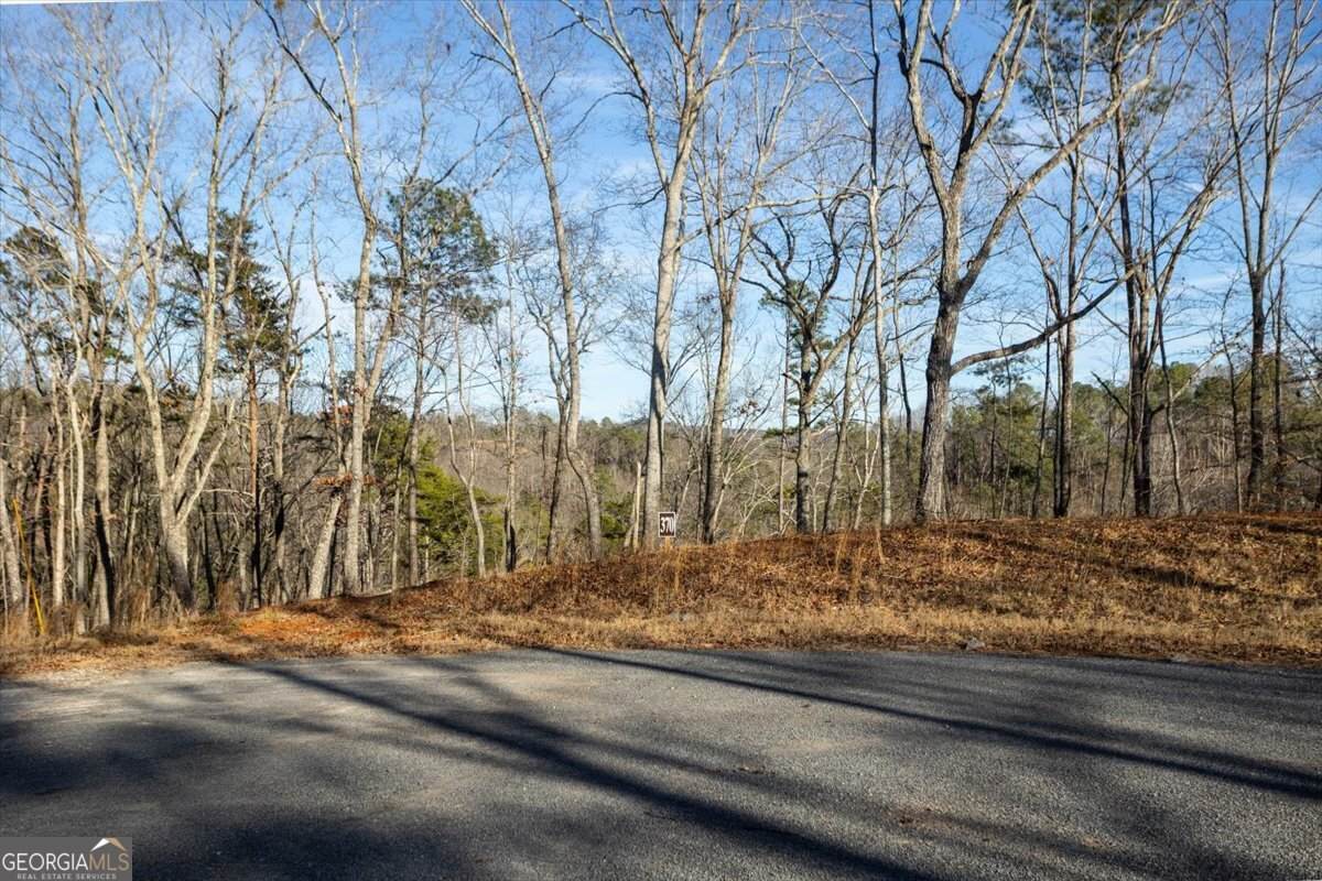 0 Meditation Lane - Photo 1