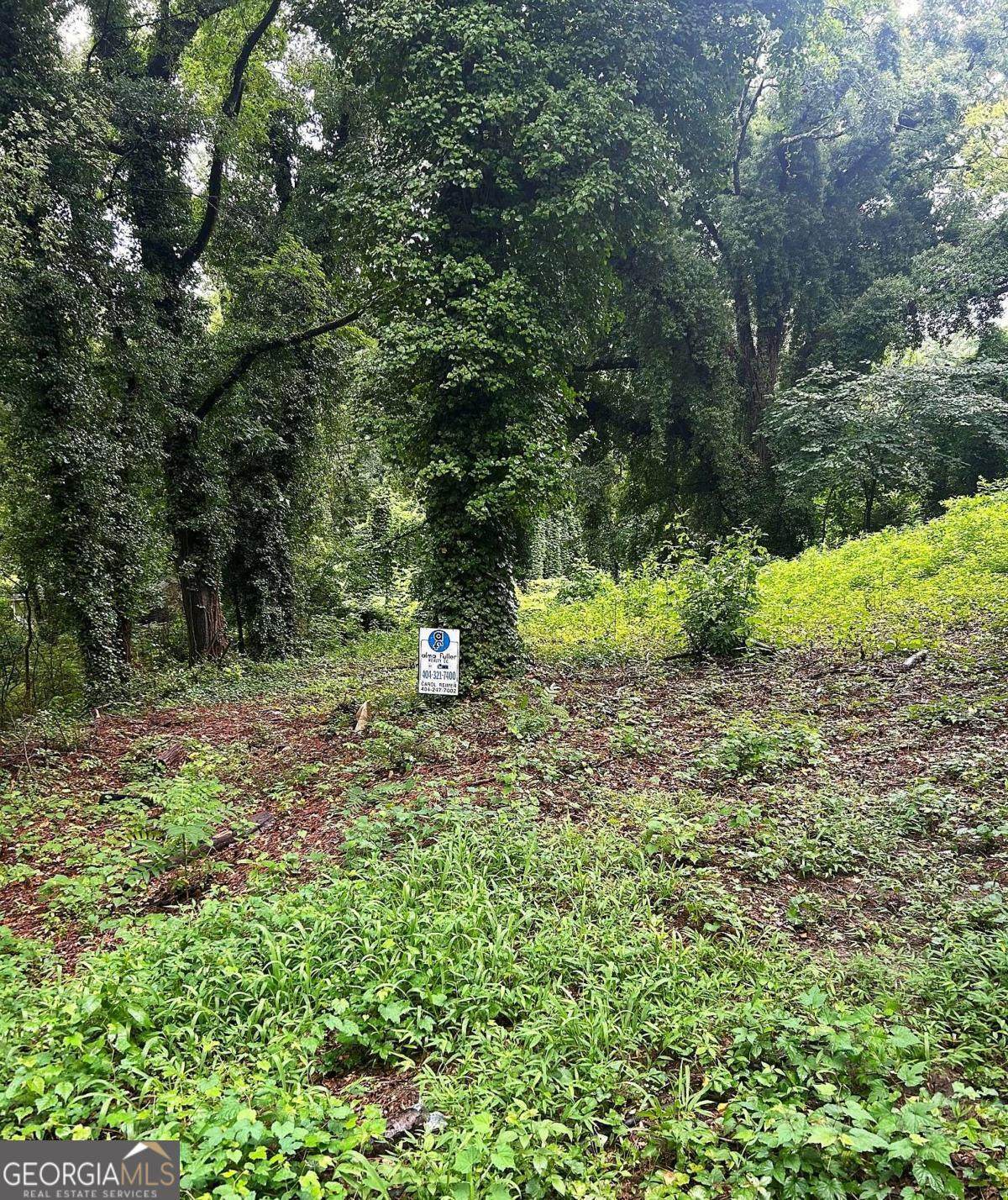0 Webb Avenue - Photo 1