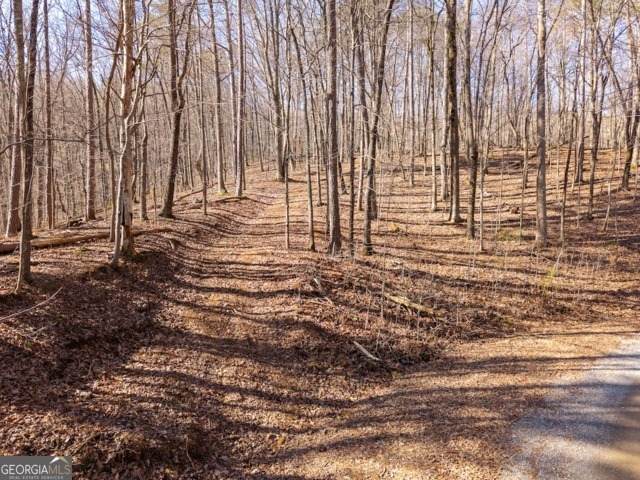 1110 Mayfield Lane - Photo 1