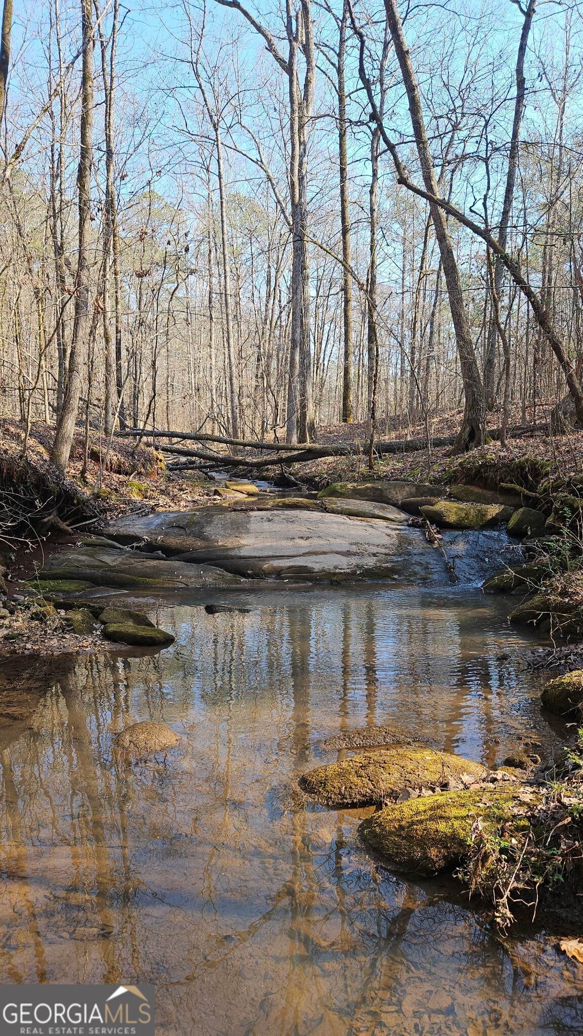 0 Old Zebulon Road - Photo 1