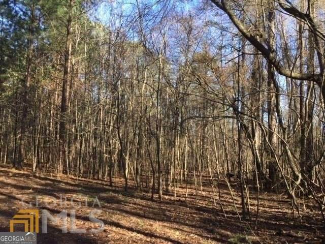 LOT#5, 11+ AC. Mcbride Road - Photo 1