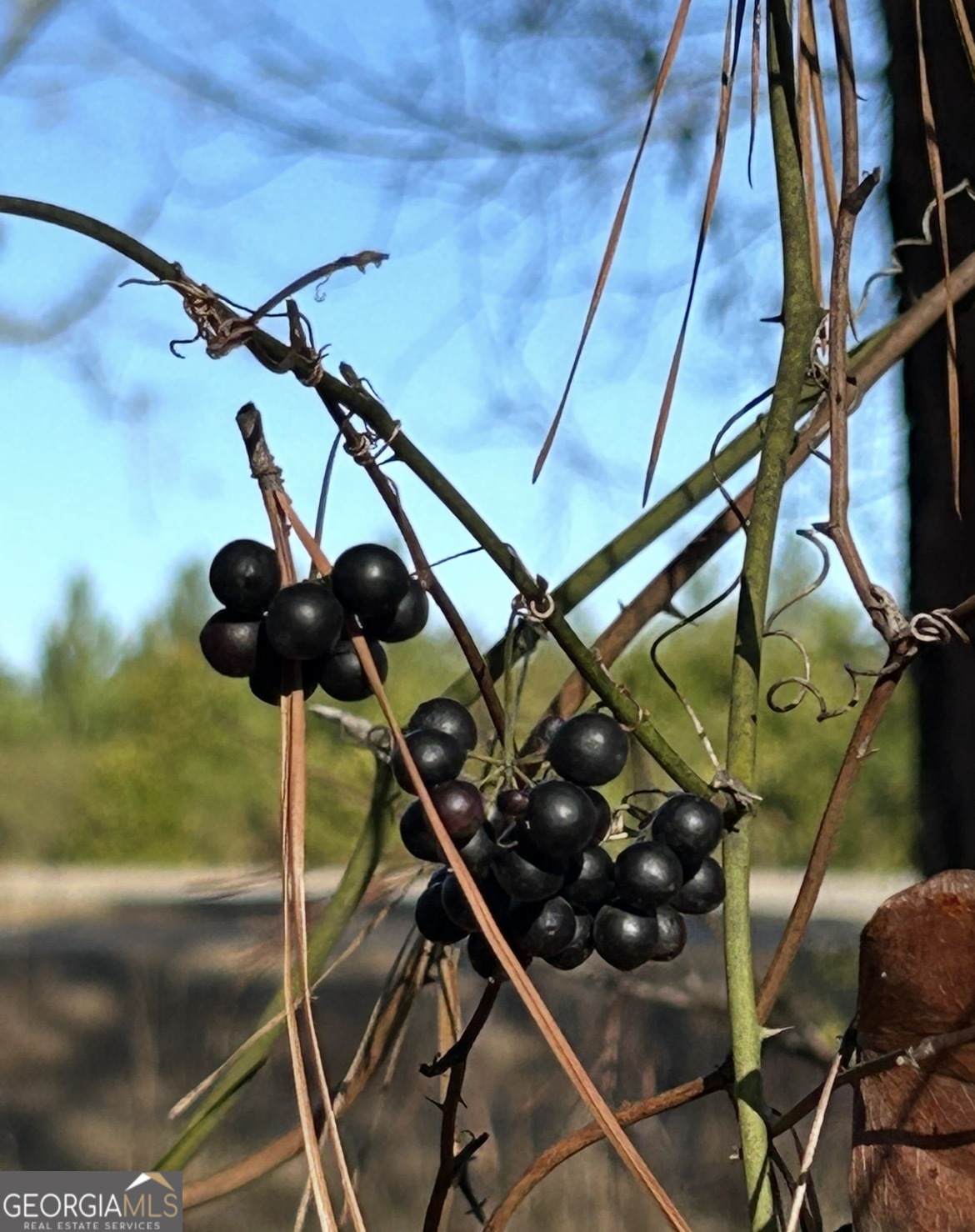 29 Tarpley Road - Photo 1