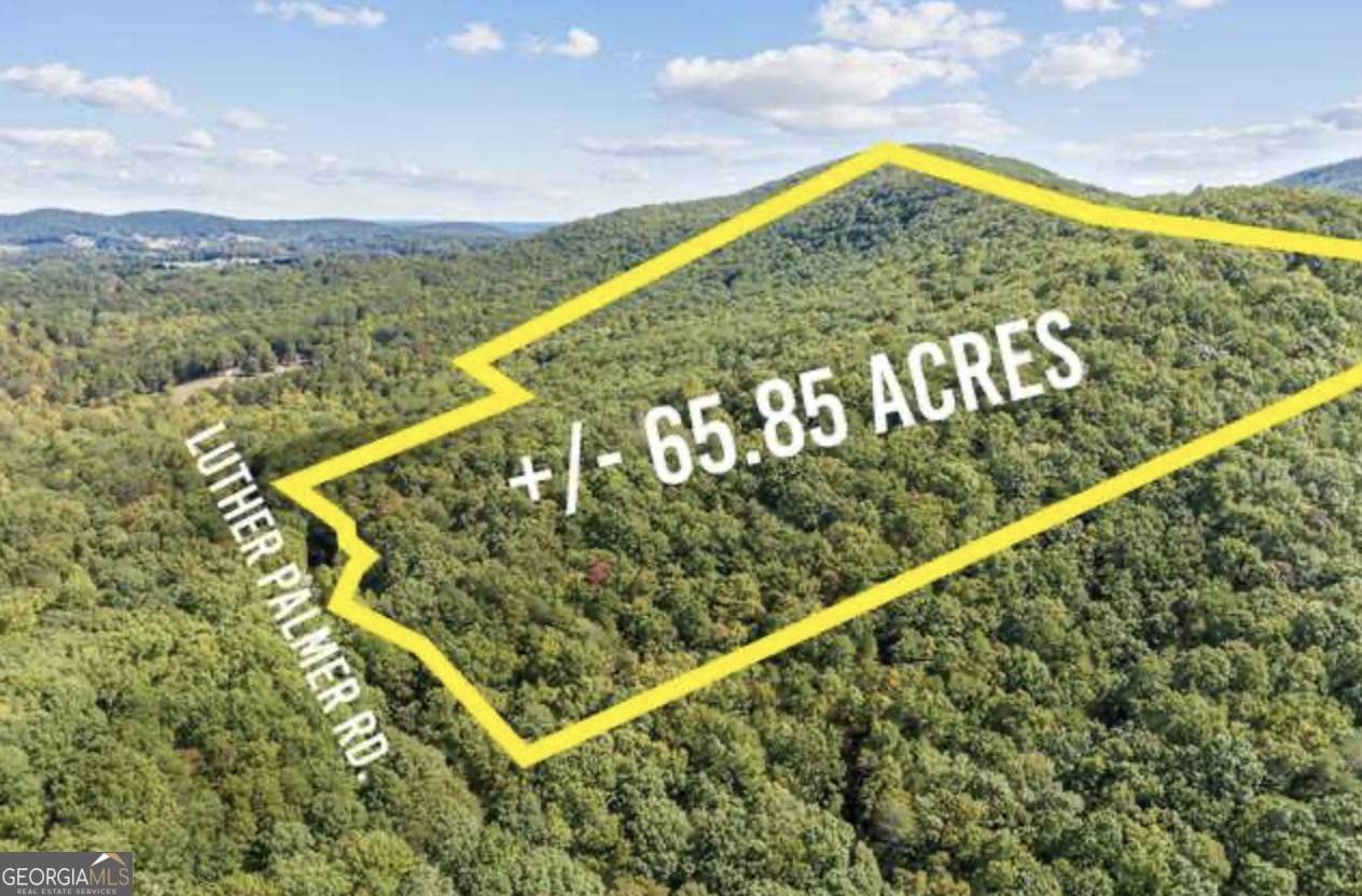 LOT 24 Luther Palmer Road - Photo 1