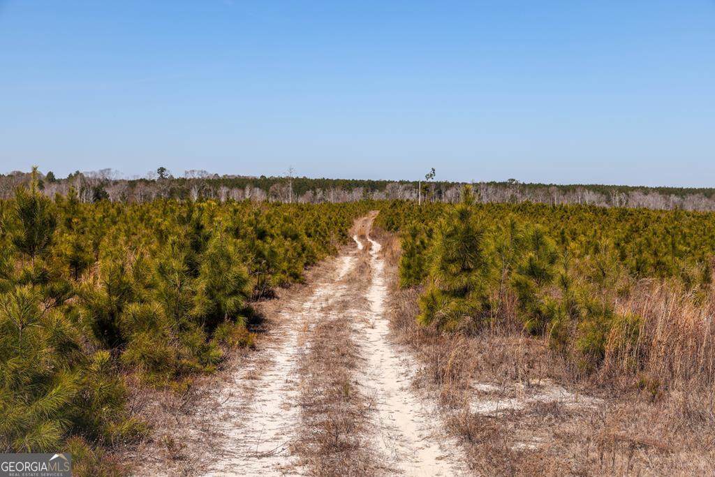 0 Scotland Road - Photo 1