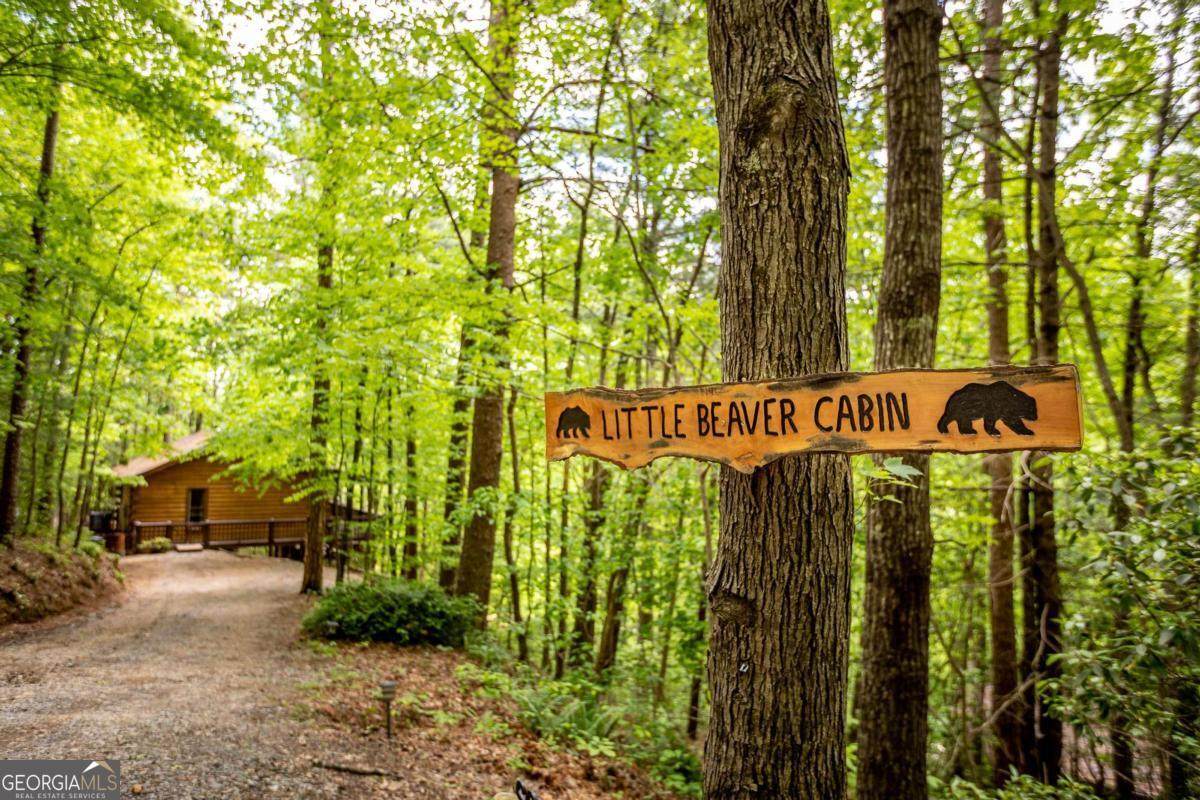 137 Little Beaver Drive - Photo 1