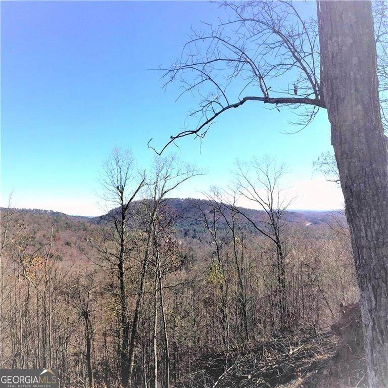 8104 Wilderness Parkway - Photo 1