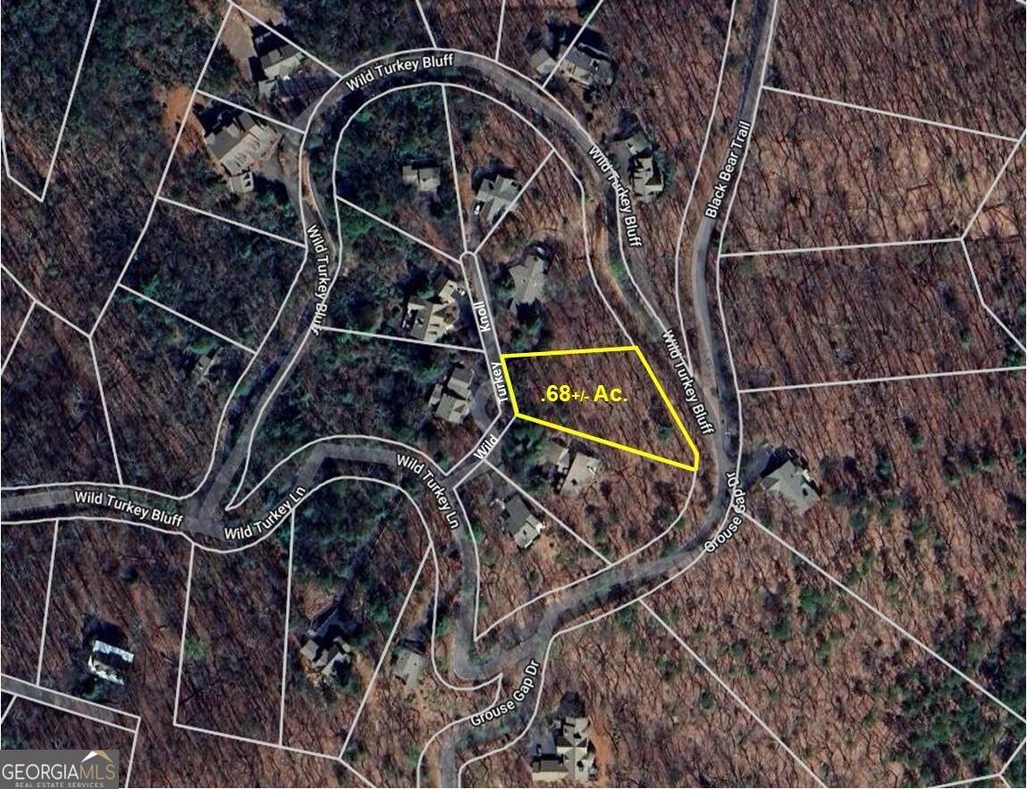 3005 Wild Turkey Knoll - Photo 1