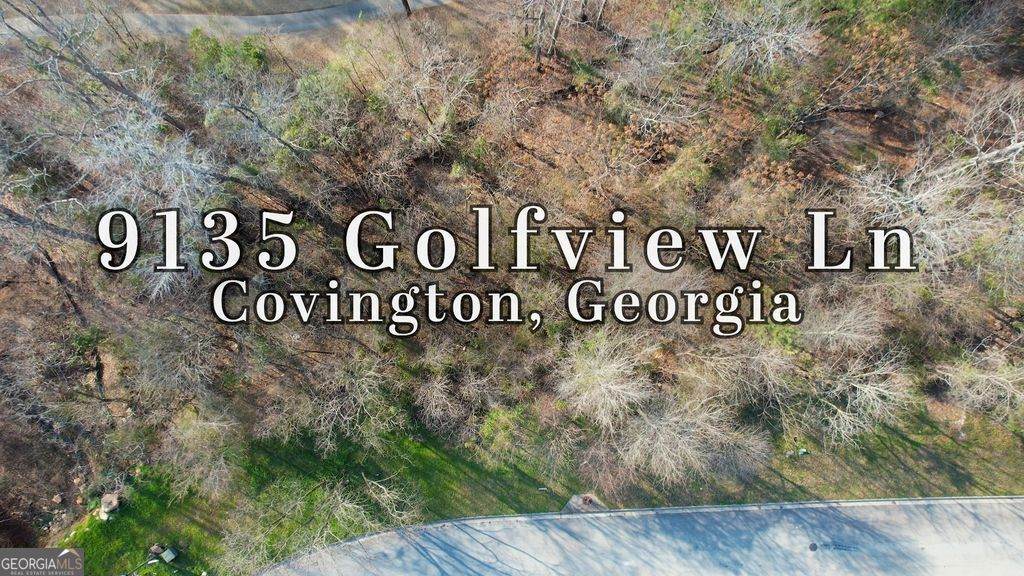 9135 Golfview Lane - Photo 1