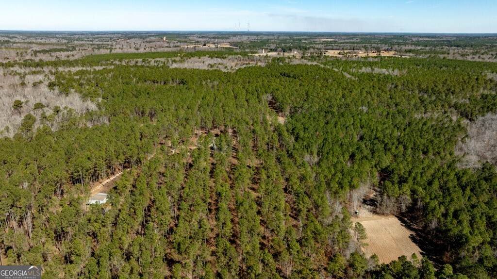 1401 Messex Road - Photo 1