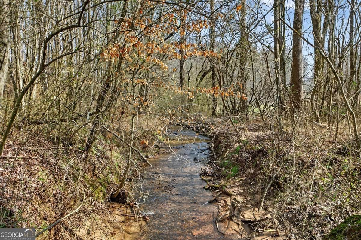 1614 Roy Road - Photo 1