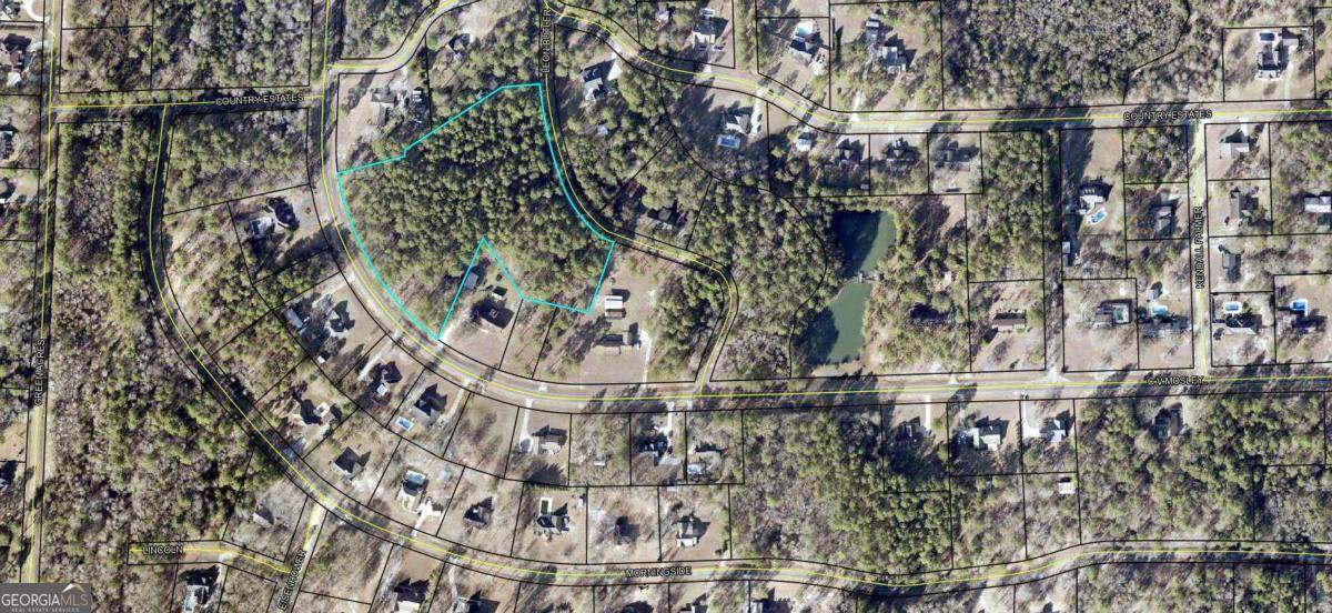 0 Cv Mosely Boulevard - Photo 1