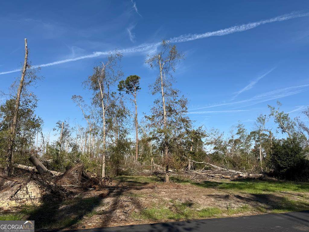 0 Old Graham Road - Photo 1