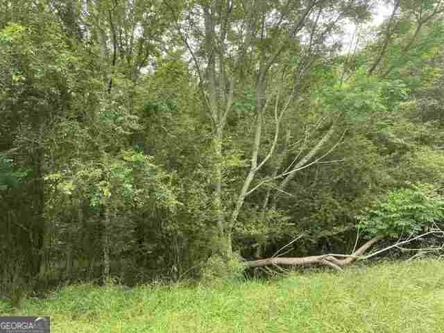 0 River Birch Lane - Photo 1