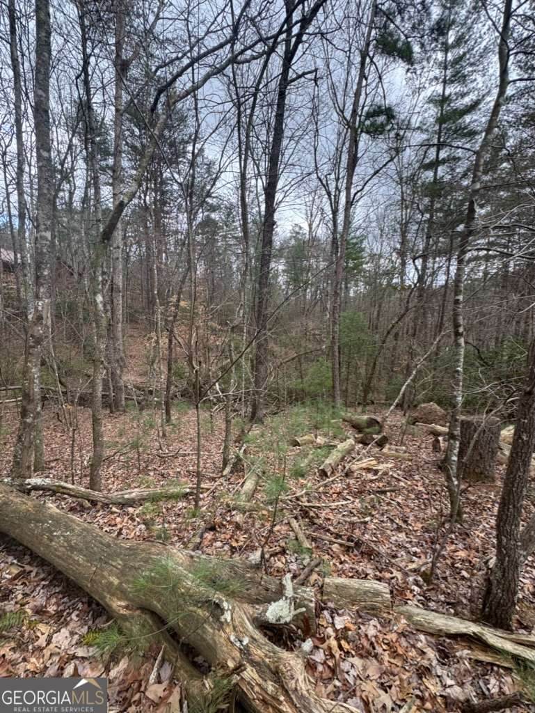 LOT 16R Leatherwood Mountain Road - Photo 1