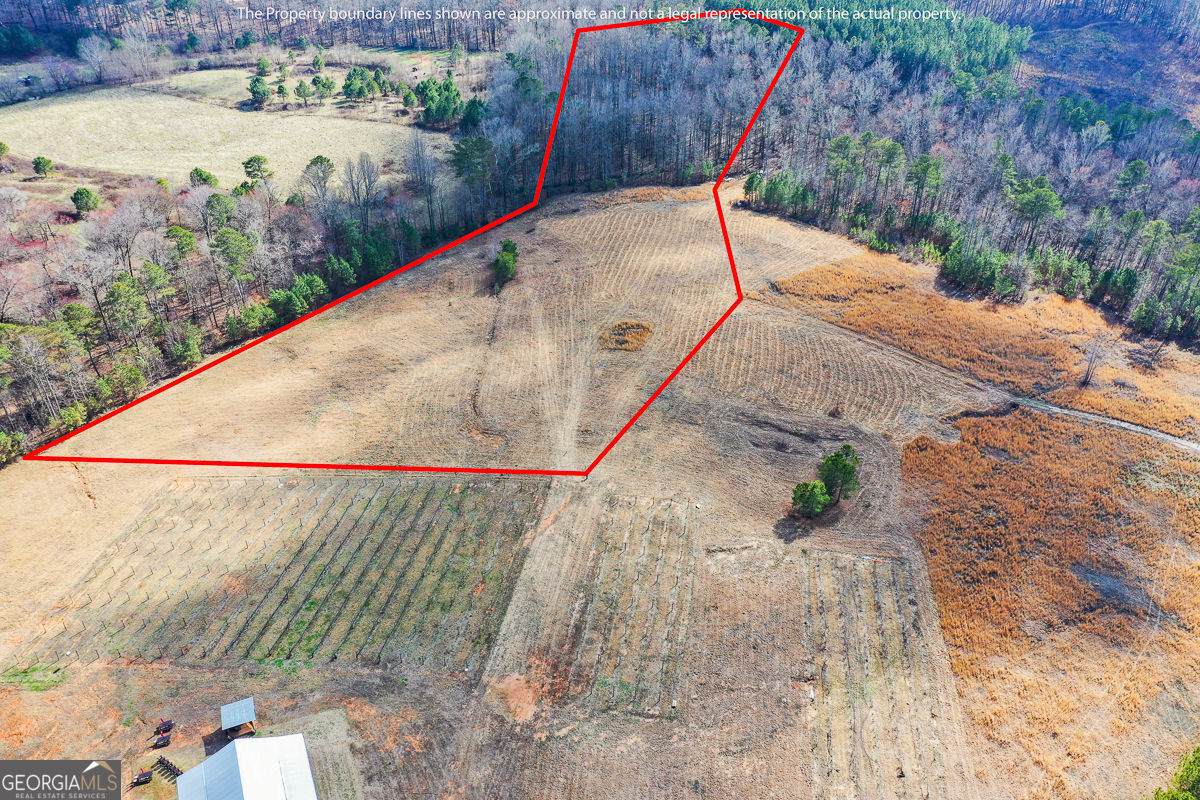 119 Inland 10 Acres Drive - Photo 1