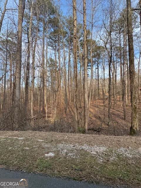 0 Cascade Palmetto Highway - Photo 1