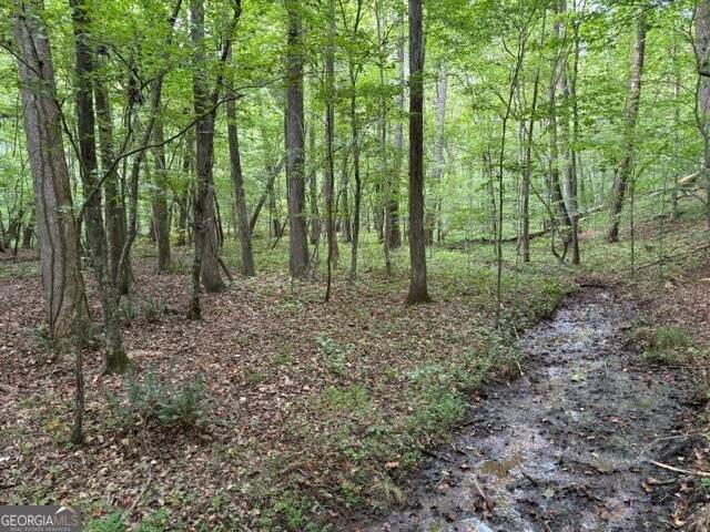 5741 Five Notch Trail - Photo 1
