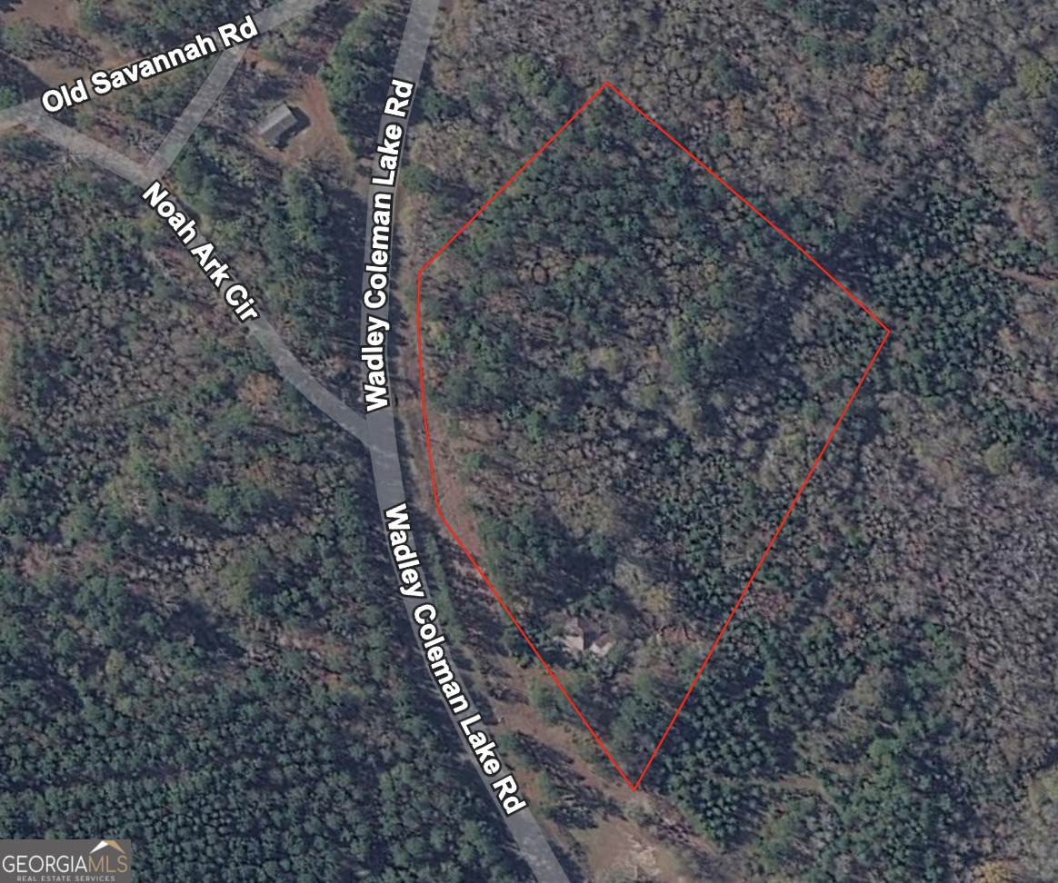 0 Wadley Coleman Lake - Photo 1