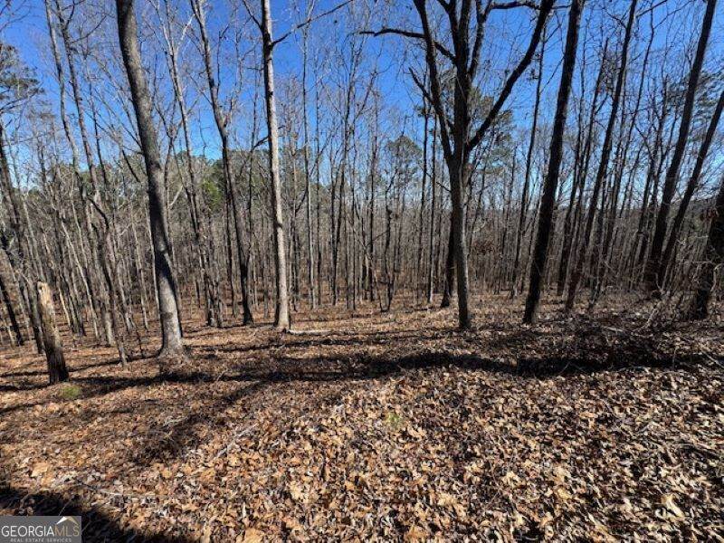 0 Brown Creek Road - Photo 1