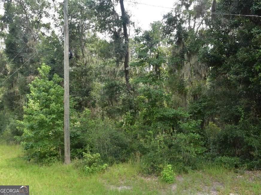 LOT 42 Japonica Drive - Photo 1