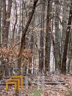 0 Bluff Road - Photo 1