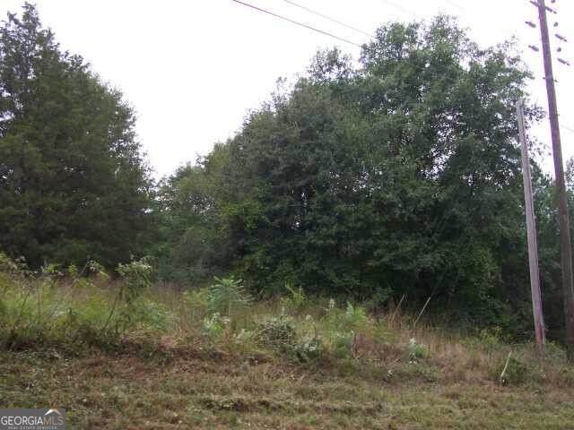 0 Rosebud Road - Photo 1