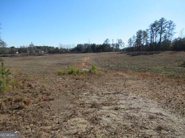391 Hog Liver Road - Photo 1