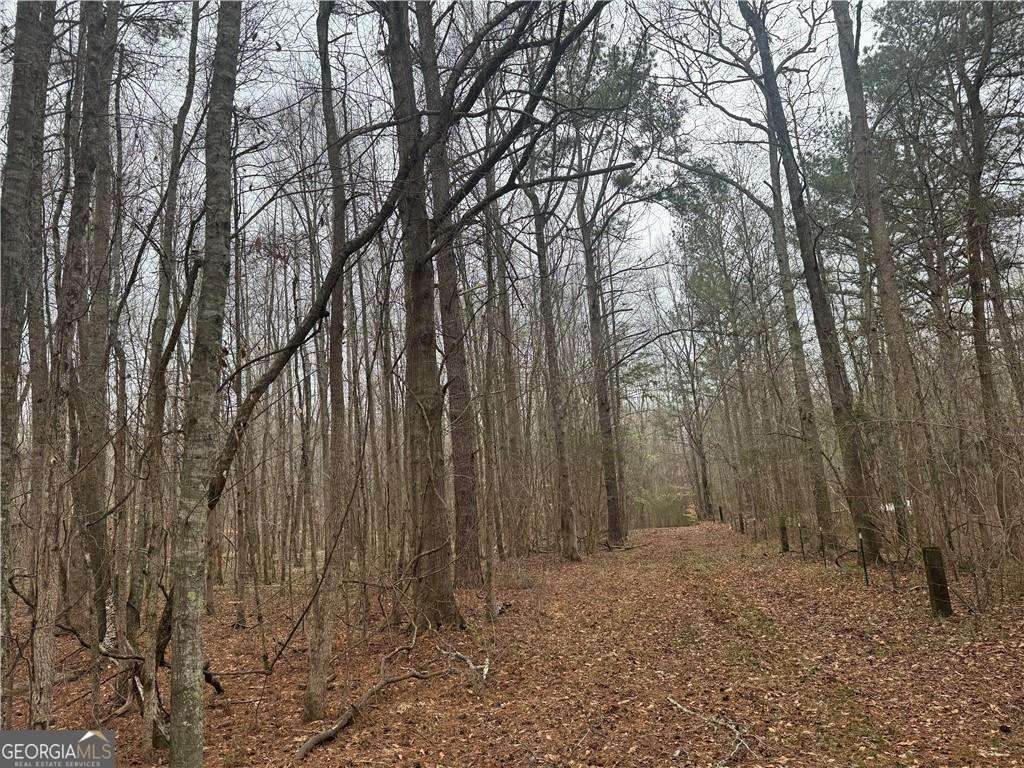 0 Indian Creek Trail - Photo 1