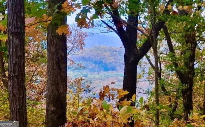 43.91 Old Burnt Mountain Road - Photo 1