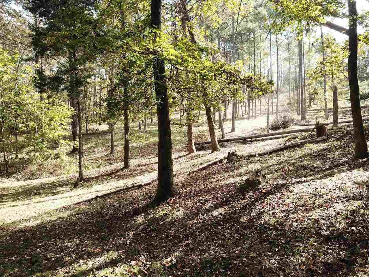 0 Maple Street - Photo 1