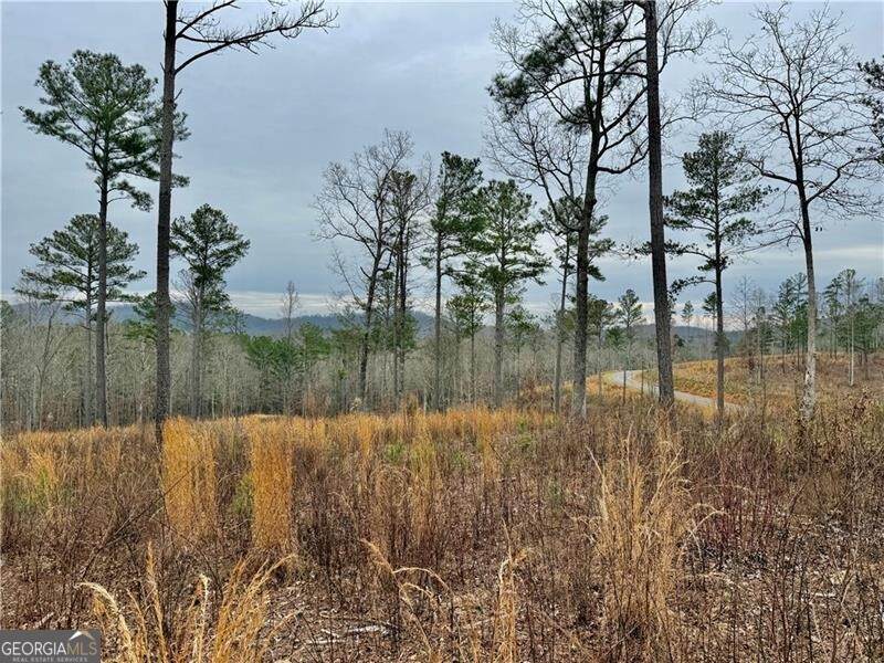 347 Timbercreek Trail - Photo 1