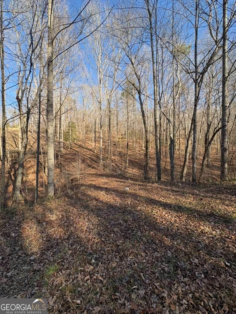 0 Gold View Drive - Photo 1