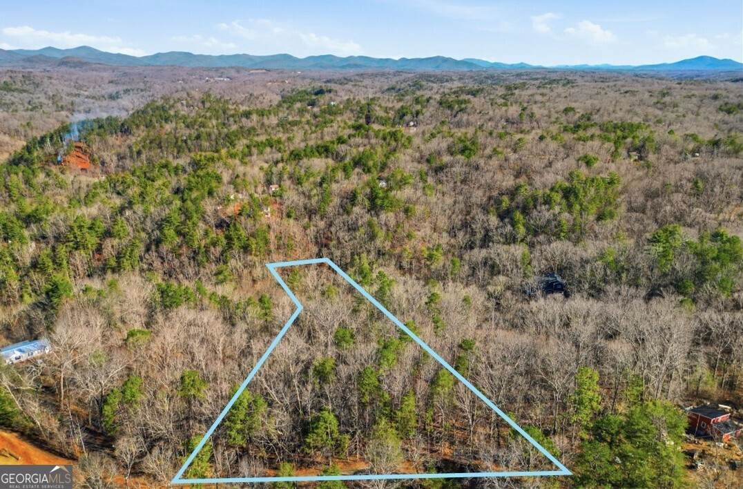 0 Winters Mountain Road - Photo 1