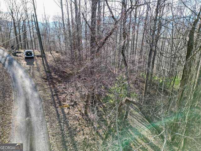 0 Chestnut Mountain Drive - Photo 1