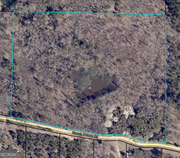 0 Branch Hebron Road - Photo 1