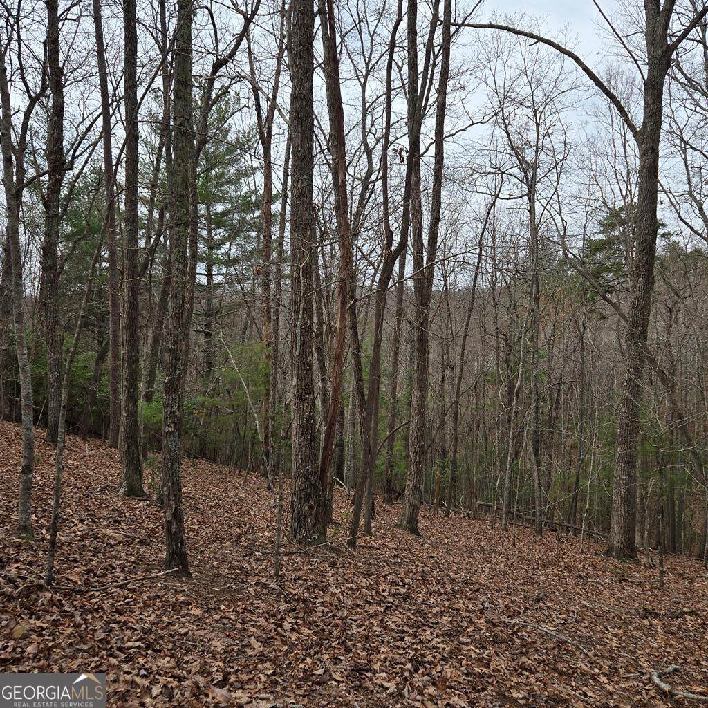 8.5 Blue Berry Ridge - Photo 1