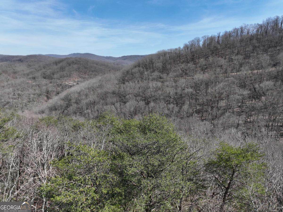 200 Stone Cliff Drive - Photo 1