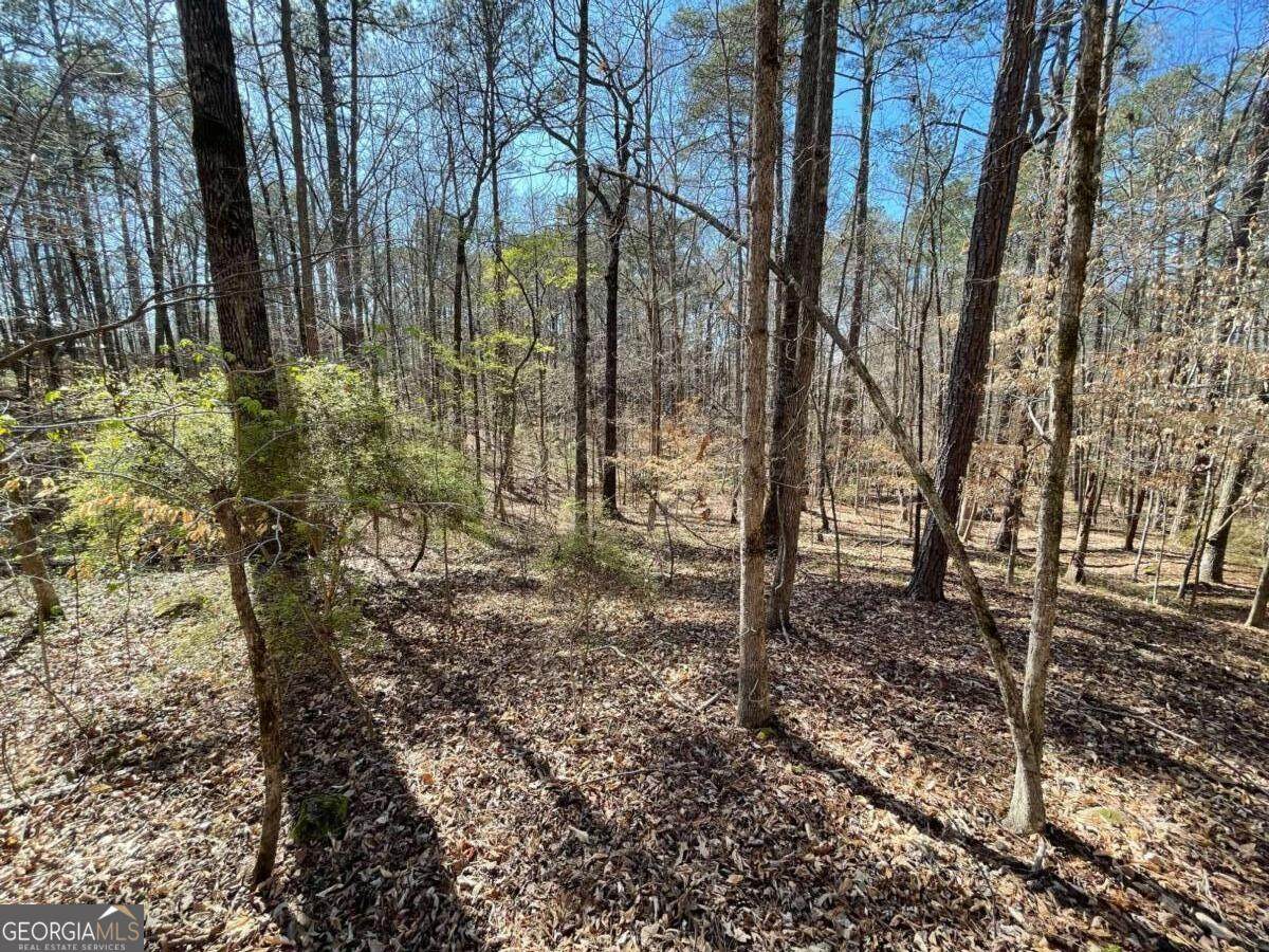 LOT 62 Warbler Lane - Photo 1